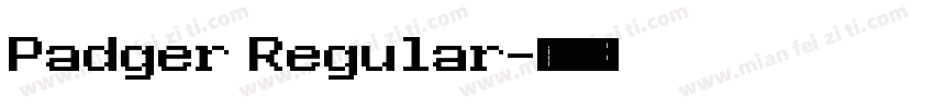 Padger Regular字体转换